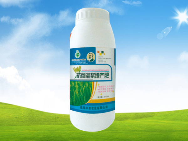 抗倒灌浆增产肥