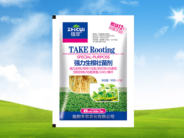 窝小麦抗倒丰产