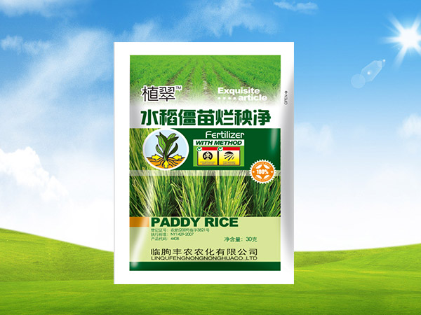 水稻僵苗烂秧净